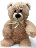Teddy-Bär
