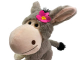 Farmtiersortiment: Esel